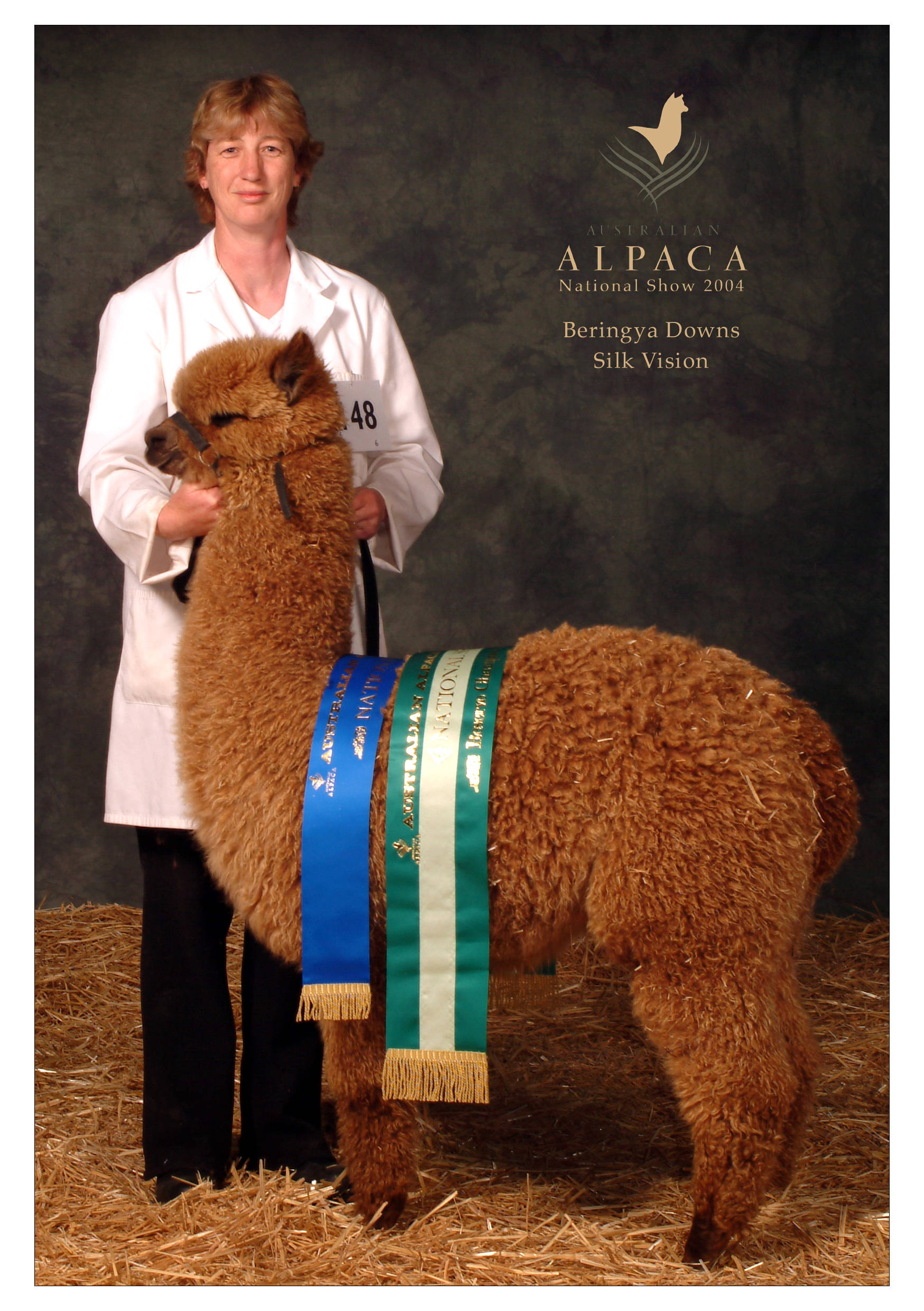 Glenavon Alpacas Nation Show Silk Vision