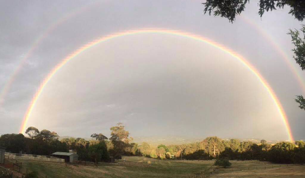 Rainbow over Glenavon Alpacas Farm